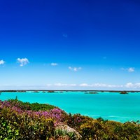 Turks & Caicos Islands Guide