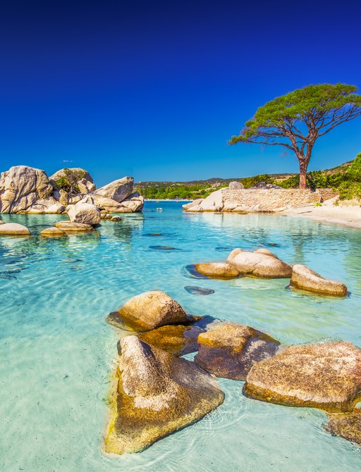 beach in corsica france