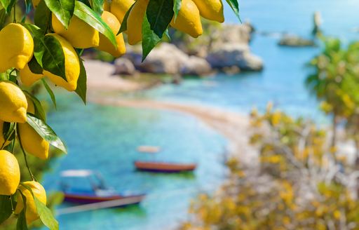 Lemon tree in Capri against a blue sky